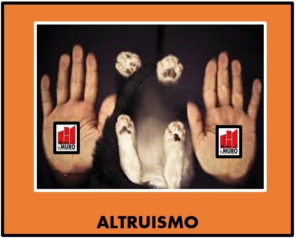 altruismo1