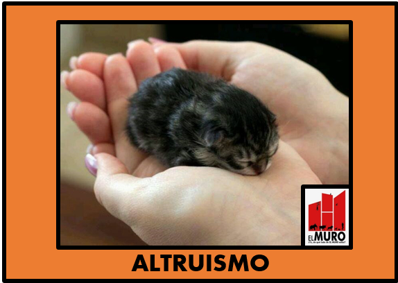 altruismo2