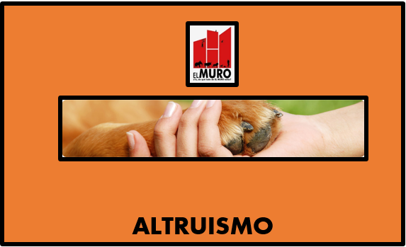altruismo3