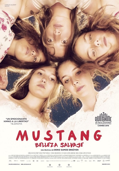 Cine- Mustang: Belleza Salvaje