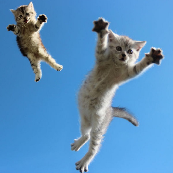 Editorial: ¿Prolegómenos de Campañas?