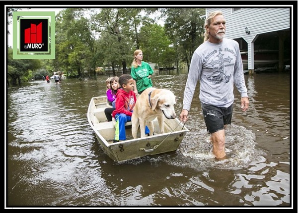 La gran mayoría de las mascotas son animales completamente dependientes del hombre, por lo que deben tomarse ciertas medidas a fin de preservar su integridad física.
