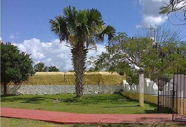 Muros del antiguo cementerio franciscano en el ex convento de san Agustín. A un costado de mata de palma de huano se aprecia la lápida de piedra que la tradición y cultura popular cree que perteneció a un torero. Pero finalmente es un símbolo o altar funerario que nos indica que ahí hubo un camposanto y que el lugar años después, la tradición oral menciona que se utilizó como coso taurino. (Foto Juan José Caamal Canul)