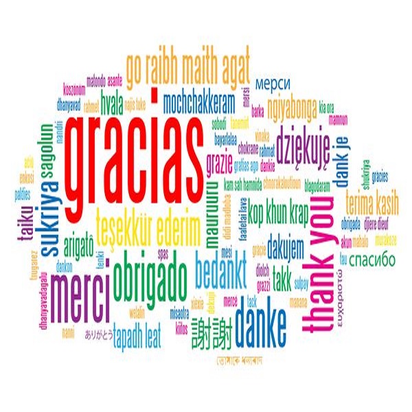 ¡Gracias!