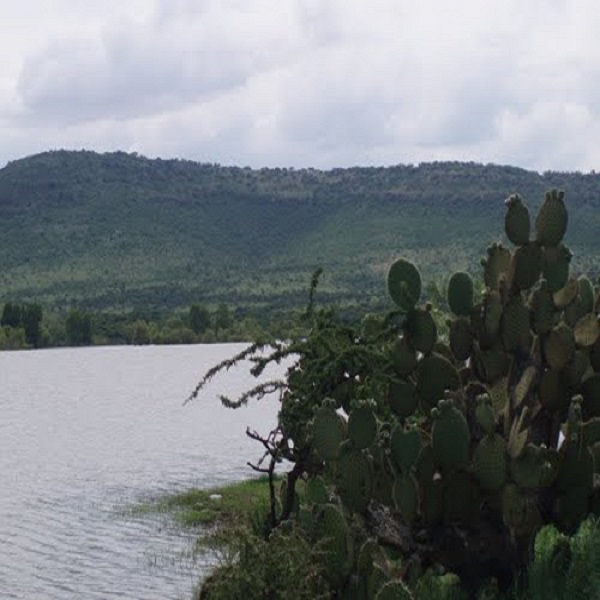 Mi Encuentro con El Ahijadero