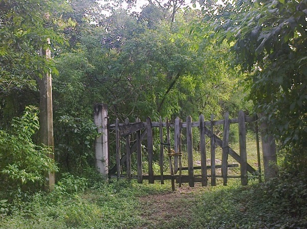 La entrada de un camino a alguna parte. Estas sendas concluyen en una finca o plantación. Los vecinos acostumbran pedir que la imagen del Cristo se detenga, como una manera de que la presencia, colme de bendiciones el lugar de trabajo, fuente de subsistencia de una familia o un grupo de campesinos. (Foto de Juan José Caamal Canul)