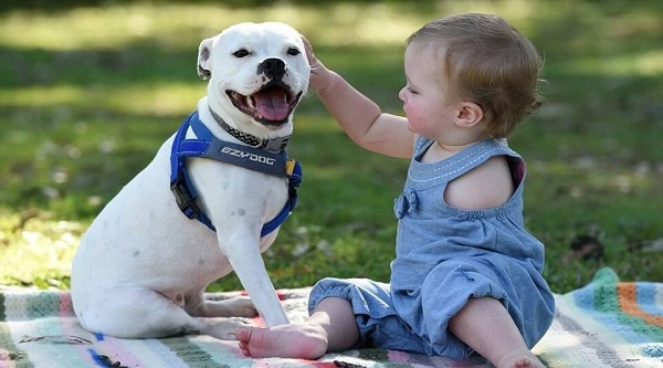 Ella y Snowdy son un par singular: la niña de 21 meses y la cachorrita carecen ambas de una extremidad. Han aprendido y desarrollado actitudes apoyándose mutuamente.