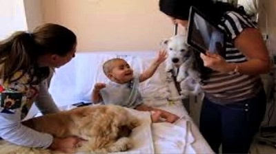 Se cree que incluso podrían detectar bacterias, por lo que algunos canes están recibiendo entrenamiento experimental para ese fin.