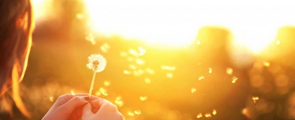 La vida se compone de ciclos que deben cerrarse para dar paso a otros nuevos.