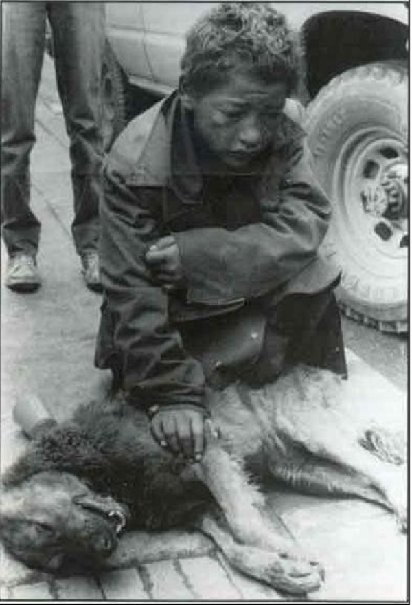 No importa del ser vivo que se trate, su sufrimiento debe considerarse semejante al de cualquier otro ser.