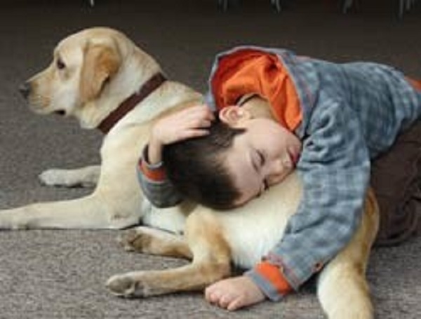 El Síndrome de Asperger es un trastorno profundo del desarrollo cerebral. Se ha demostrado que el trato con perros puede ayudar al paciente en gran medida a sobrellevarlo.