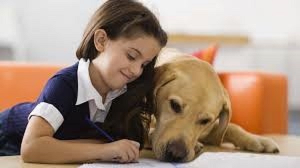 Un perro que trabaje con personas que padecen Síndrome de Autismo debe poseer características muy específicas: tranquilo, entrenado para esperar respuestas verbales o físicas.