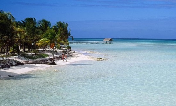 CubaX_5