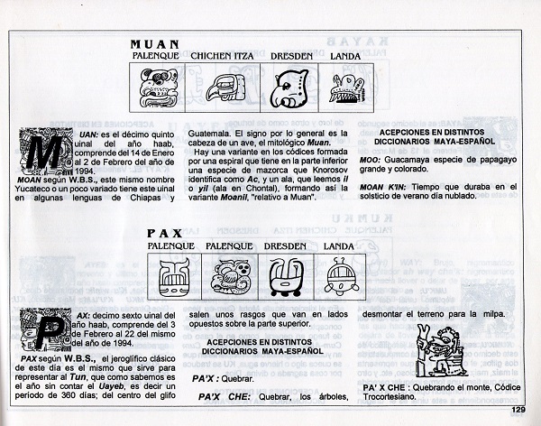 MilpaXIII_2