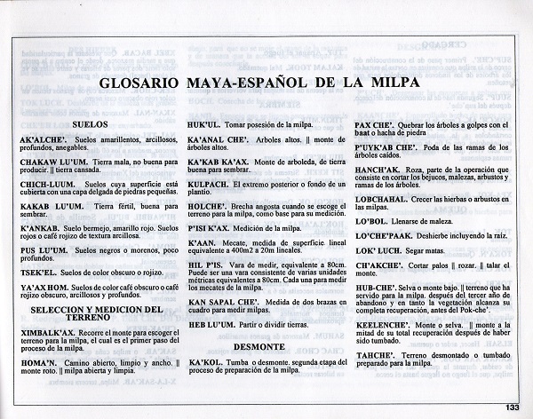 MilpaXIII_5
