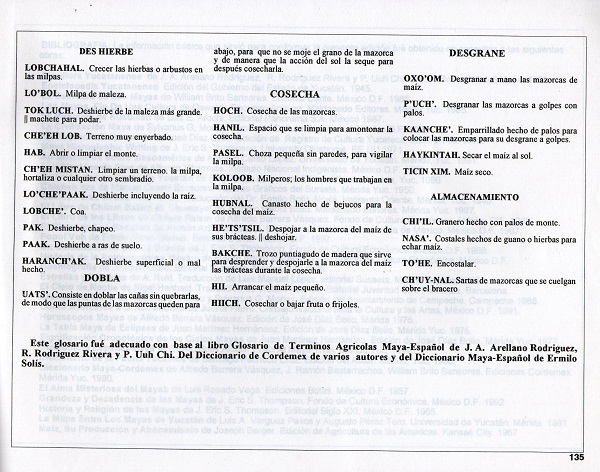 MilpaXIII_7