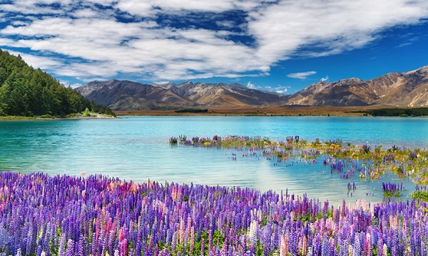 PaisessaludablesII_3