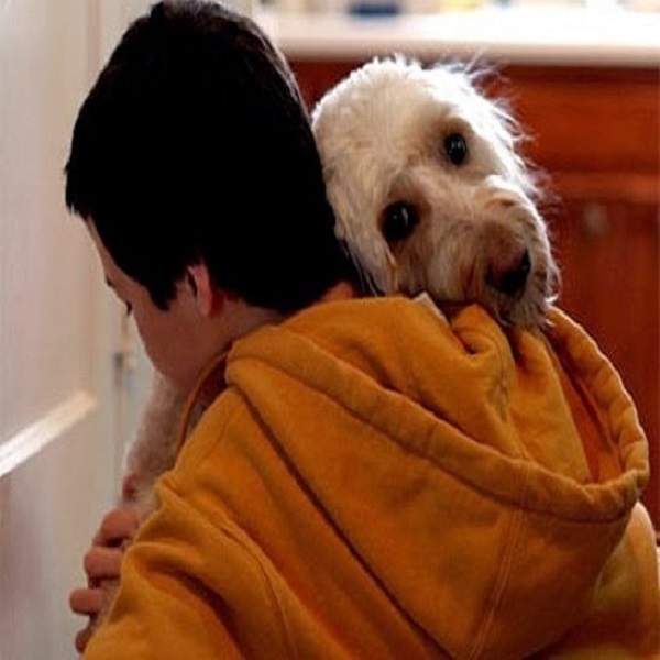 Vínculo afectivo entre animales y humanos