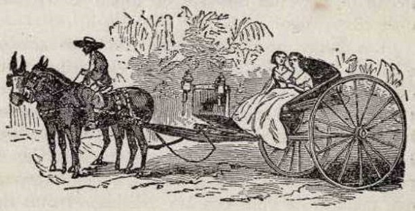 Las mujeres paseadas en carruajes. Dibujo de Samuel Hazard.