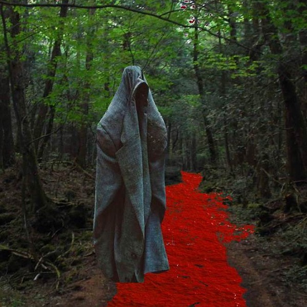 Misterios del Bosque