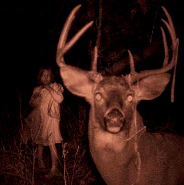 Imágenes del Bosque