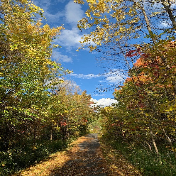 Otoño con sabor a invierno yucateco