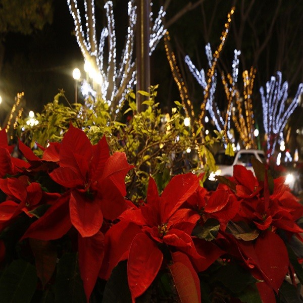 2021, Navidad de Esperanza