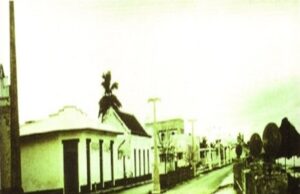 Isla de Cozumel (ii y concluye)