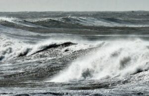 A mi tierna amiga Rita Cetina Gutiérrez