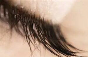 A mi querida prima Gertrudis Tenorio Zavala